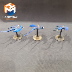 copy ofcopy ofcopy ofcopy ofOccasion: a faire (ne pas supprimer)