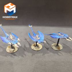 copy ofcopy ofcopy ofcopy ofOccasion: a faire (ne pas supprimer)