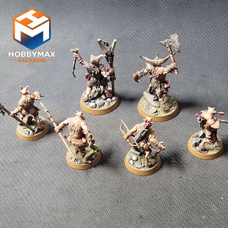 copy ofOccasion: a faire (ne pas supprimer)