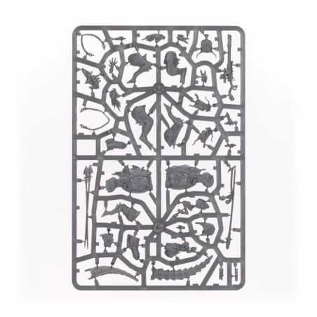 T'au Empire: Patrouille Kroot (x17 Figurines)