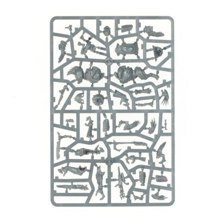 T'au Empire: Patrouille Kroot (x17 Figurines)