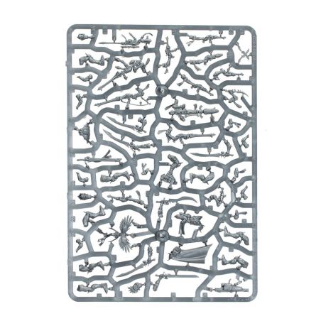 Aeldari: Corsaires Néantari (x10)