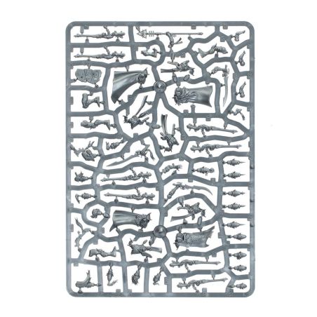 Aeldari: Corsaires Néantari (x10)