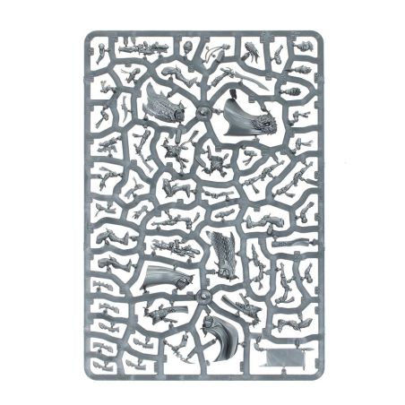 Aeldari: Corsaires Néantari (x10)