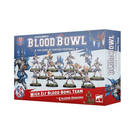 BloodBowl: The Caledor Dragons - Hauts Elfe (x12) Figurines)