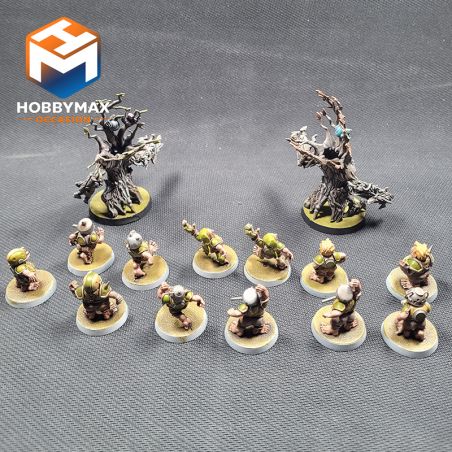 copy ofcopy ofOccasion: a faire (ne pas supprimer)