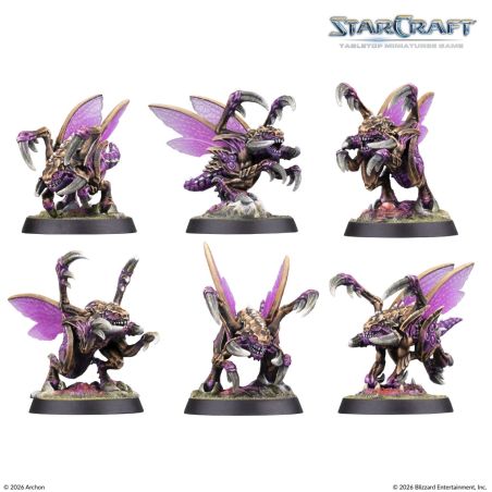 Starcraft: Starter Set Fondateur Edition (x49 Figurines) (Anglais)