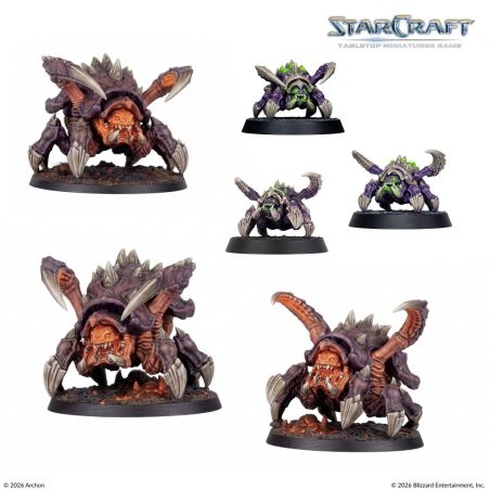 Starcraft: Starter Set Fondateur Edition (x49 Figurines) (Anglais)