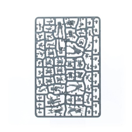 Chaos Space Marines Unpack Escouade de Gardes Rénégats (x10)