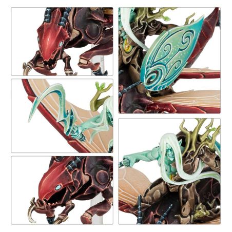 Sylvaneth: Avant Garde Vol d'Aile Fielleuse (x12 Figurines)