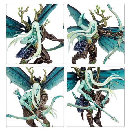 Sylvaneth: Avant Garde Vol d'Aile Fielleuse (x12 Figurines)