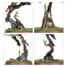 Sylvaneth: Avant Garde Vol d'Aile Fielleuse (x12 Figurines)