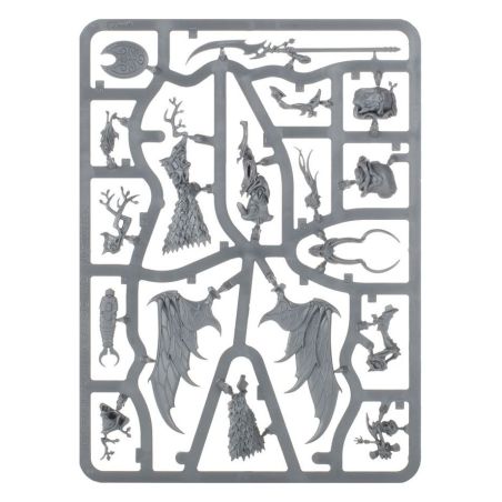Sylvaneth: Avant Garde Vol d'Aile Fielleuse (x12 Figurines)