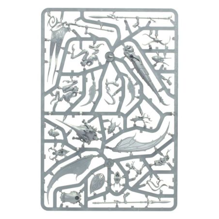 Sylvaneth: Avant Garde Vol d'Aile Fielleuse (x12 Figurines)