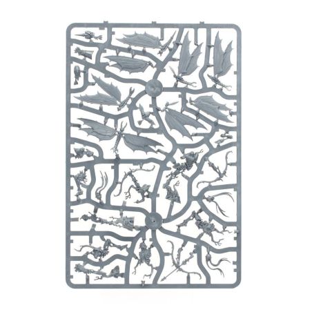 Sylvaneth: Avant Garde Vol d'Aile Fielleuse (x12 Figurines)