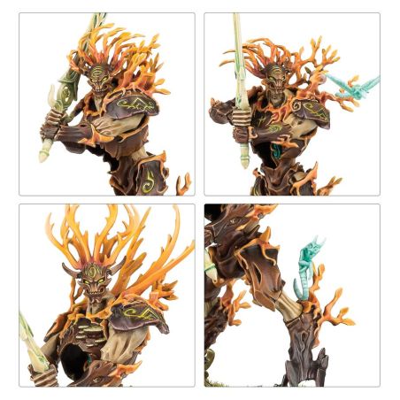 Sylvaneth: Battleforce Sylve de Fortesouche (x9 Figurines)