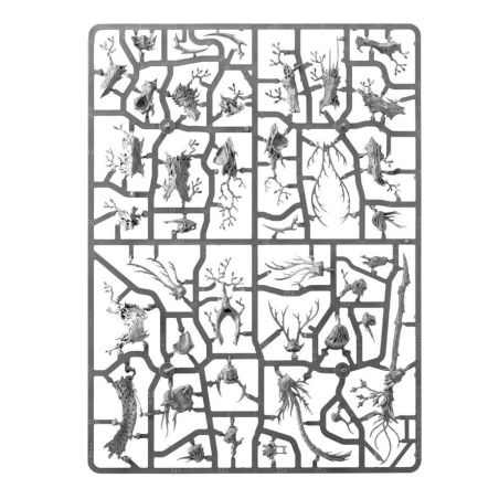 Sylvaneth: Battleforce Sylve de Fortesouche (x9 Figurines)