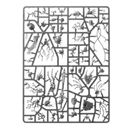 Sylvaneth: Battleforce Sylve de Fortesouche (x9 Figurines)