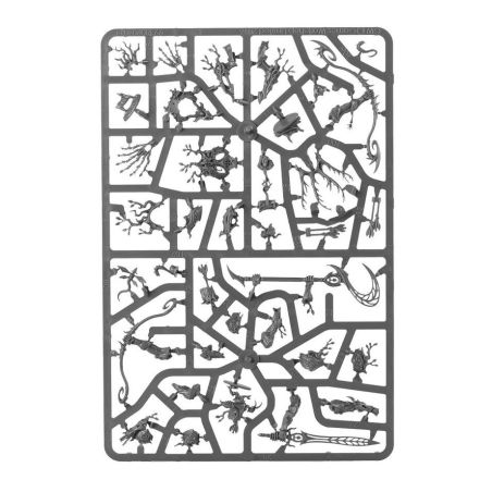 Sylvaneth: Battleforce Sylve de Fortesouche (x9 Figurines)