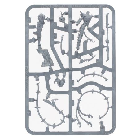 Daughters of Khaine: Régiment de Renom - Le Fouet Pourpre (x11 Figurines)