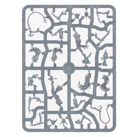 Daughters of Khaine: Régiment de Renom - Le Fouet Pourpre (x11 Figurines)