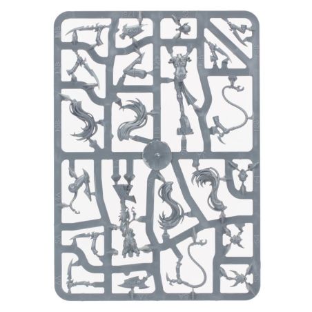 Daughters of Khaine: Régiment de Renom - Le Fouet Pourpre (x11 Figurines)