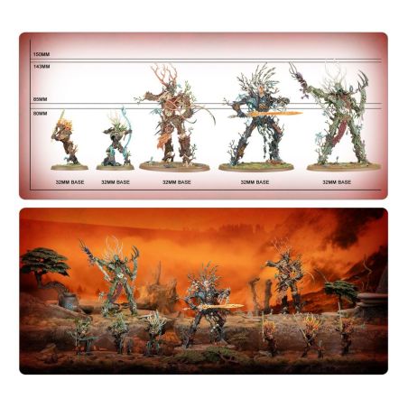 Sylvaneth: Essentiel - Battleforce + Battletome + Dés