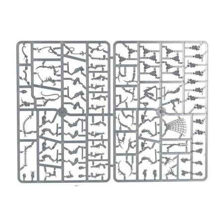 Drukhari Unpack: Wyches (x10)