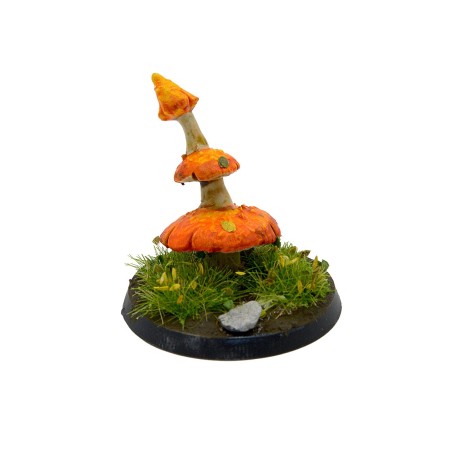 AK-Gigant-Mushrooms-x12-Pieces