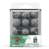 AK-Gigant-Mushrooms-x12-Pieces