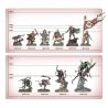 Fer de Lance: Cité de Cendre (x42 Figurines)