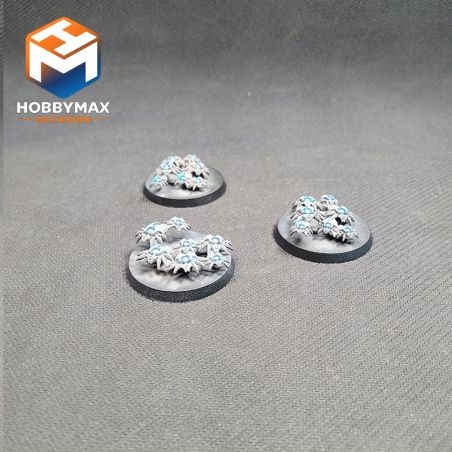 copy ofcopy ofcopy ofOccasion: a faire (ne pas supprimer)