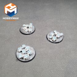 copy ofcopy ofcopy ofOccasion: a faire (ne pas supprimer)