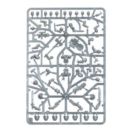 Deathwatch: Bataillon d’Armageddon (x11 Figurines)