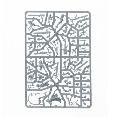 Adepta Sororitas: Bataillon d’Armageddon (x24 Figurines)