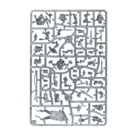 Cities of Sigmar: Preux des Guildes Franches (x5)