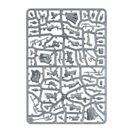 Cities of Sigmar: Grenadiers des Guildes Franches (x10)