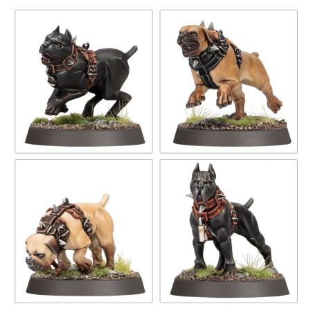 Cities of Sigmar: Dogues de Ven Denst (x13 Figurines)
