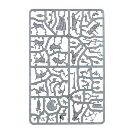 Cities of Sigmar: Dogues de Ven Denst (x13 Figurines)