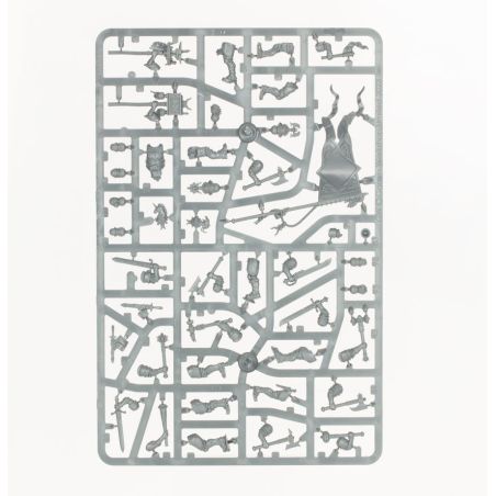 Cities of Sigmar: Fer de Lance, Zélotes de Zenestra (x19 Figurines)