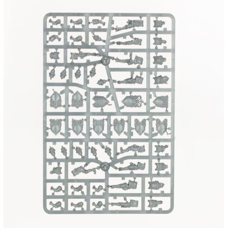 Cities of Sigmar: Fer de Lance, Zélotes de Zenestra (x19 Figurines)