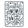 Cities of Sigmar: Jorvan Kreel, Héritier du Kraken