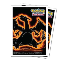 Pochettes-Apex-Pokemon-Neon-Kanto-Dracaufeu-x105