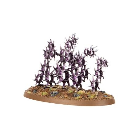 Hédonites of Slaanesh: Régiment de Renom, Le Reflet Maudit