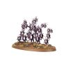 Hédonites of Slaanesh: Régiment de Renom, Le Reflet Maudit