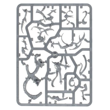 Hédonites of Slaanesh: Régiment de Renom, Le Reflet Maudit