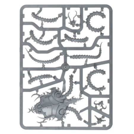 Hédonites of Slaanesh: Régiment de Renom, Le Reflet Maudit