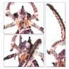 Tyranids: Bataillon: Essaim Tyranide (x30 figurines)