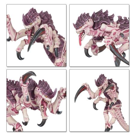 Tyranids: Bataillon: Essaim Tyranide (x30 figurines)