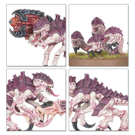 Tyranids: Bataillon: Essaim Tyranide (x30 figurines)